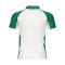 adidas Climacool MT14 Poloshirt Kids Weiss Grün - weiss