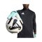 adidas COPA League Torwarthandschuhe Grün - gruen