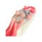 adidas COPA Pure 2 Elite KT FG Solar Energy Weiss Schwarz Rot - weiss