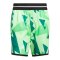 adidas Crazylite AOP 2 Short Grau - gruen