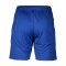 adidas cuLIC24 Custom Short Blau - blau