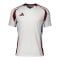 adidas cuLIC24 Trikot Mehrfarbig - mehrfarbig