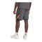 adidas DBB Deutschland Training Short Grau - grau