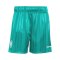 adidas DFB Deutschland EQT Short Grün - gruen