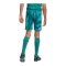 adidas DFB Deutschland Torwartshort Home WM 2026 Kids Grün - gruen