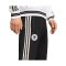 adidas Deutschland Track Hose 2026 Schwarz - schwarz