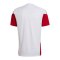 adidas DFB Deutschland Tiro Trainingsshirt Weiß - weiss