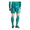 adidas DFB Deutschland Torwartshort Home WM 2026 Grün - gruen