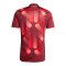 adidas DFB Deutschland Trikot Away EM 2025 Rot - rot