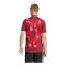 adidas DFB Deutschland Trikot Away EM 2025 Rot - rot