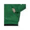 adidas Entrada 22 Hoody Grün - gruen