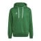 adidas Entrada 22 Hoody Grün - gruen