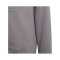 adidas Entrada 22 Hoody Kids Grau - grau