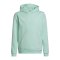 adidas Entrada 22 Hoody Kids Türkis - tuerkis