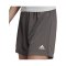 adidas Entrada 22 Short Damen Grau - grau