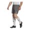 adidas Entrada 22 Short Grau - gruen