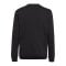 adidas Entrada 22 Sweatshirt Schwarz - schwarz
