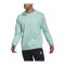 adidas Entrada 22 Sweatshirt Türkis - tuerkis