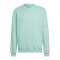 adidas Entrada 22 Sweatshirt Türkis - tuerkis