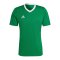 adidas Entrada 22 Trikot Grün - gruen