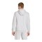adidas Entrada 26 Hoody Grau - grau
