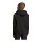 adidas Entrada 26 Hoody Kids Schwarz - schwarz
