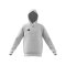 adidas Entrada 26 Hoody Kids Weiß - weiss