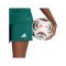adidas Entrada 26 Short Damen Grün - gruen