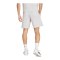 adidas Entrada 26 Short Grau - grau