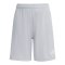 adidas Entrada 26 Short Kids Grau - grau