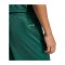 adidas Entrada 26 Short Kids Grün - gruen