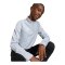 adidas Entrada 26 Training Sweatshirt Kids Grau - grau