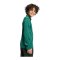adidas Entrada 26 Trainingsjacke Kids Grün - gruen