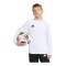 adidas Entrada 26 Trainingsjacke Kids Weiß - weiss