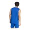 adidas Entrada 26 Trikot Blau - blau