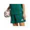 adidas Entrada 26 Trikot Damen Grün - gruen