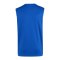 adidas Entrada 26 Trikot Kids Blau - blau