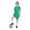 adidas Entrada 26 Trikot Kids Grün - gruen