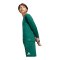 adidas Entrada 26 Trikot Langarm Kids Grün - gruen