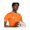 adidas Entrada 26 Trikot Orange - orange