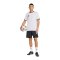 adidas Entrada26 Graphic Trikot Weiß - weiss