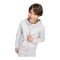 adidas Entrada26 Kapuzenjacke Kids Grau - grau