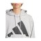 adidas Essentials French Terry Hoody Grau - grau
