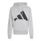 adidas Essentials French Terry Hoody Grau - grau