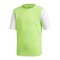 adidas Estro 19 Trikot kurzarm Hellgrün Weiss - gruen