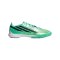 adidas F50 Hyperfast Pro TF Final Rush Grün - gruen