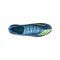 adidas F50 Messi Elite FG VIS10N Blau - blau