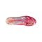 adidas F50 Elite FG Futbol Y Familia Messi Rot - rot