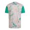 adidas FAF Algerien Prematch T-Shirt WM 2026 Beige - beige