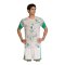 adidas FAF Algerien Prematch T-Shirt WM 2026 Beige - beige